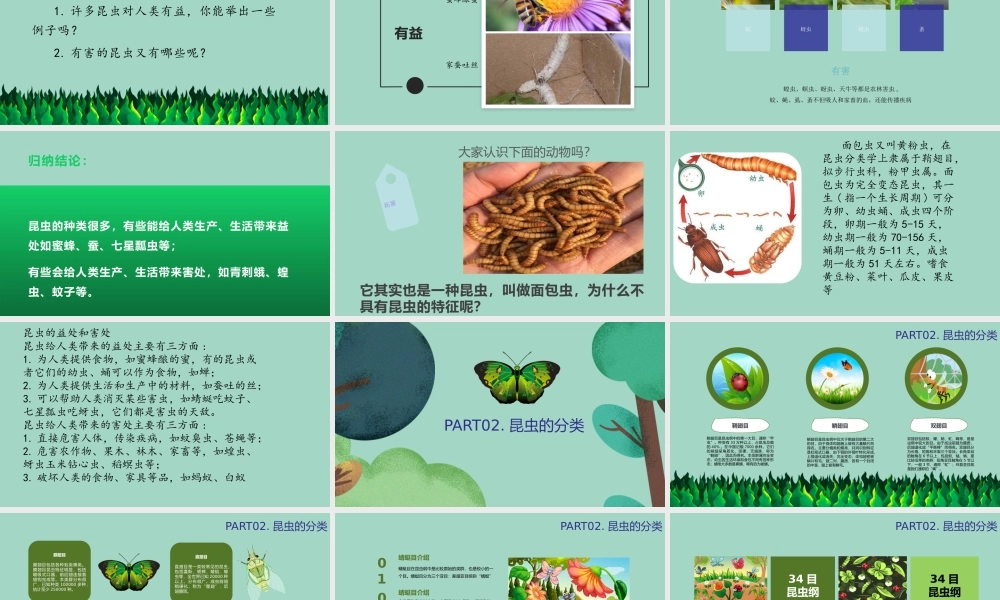 三年级科学下册 第1单元 生物资源 第五课 昆虫课件2 冀人版-人教版小学三年级下册自然科学课件