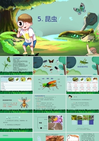 三年级科学下册 第1单元 生物资源 第五课 昆虫课件2 冀人版-人教版小学三年级下册自然科学课件