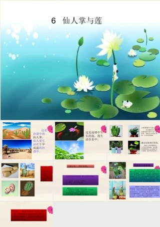 三年级科学下册 第2单元《动植物对环境的适应》6 仙人掌与莲课件 冀人版-人教版小学三年级下册自然科学课件