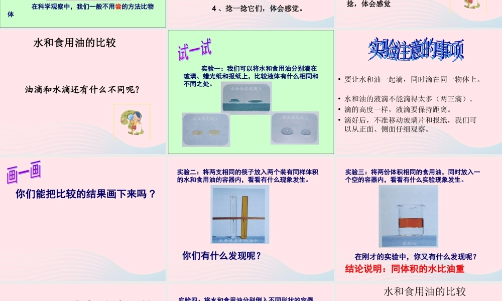 三年级科学上册 4.2《水和食用油的比较》课件（1） 教科版-教科版小学三年级上册自然科学课件