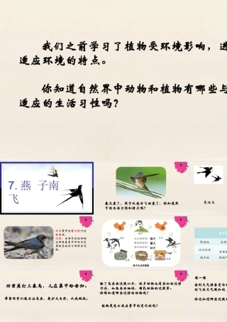三年级科学下册 第2单元《动植物对环境的适应》7 燕子南飞课件 冀人版-人教版小学三年级下册自然科学课件