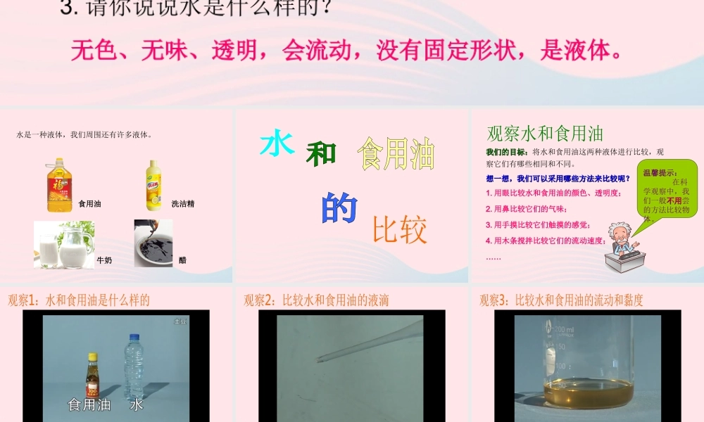 三年级科学上册 4.2《水和食用油的比较》课件（2） 教科版-教科版小学三年级上册自然科学课件