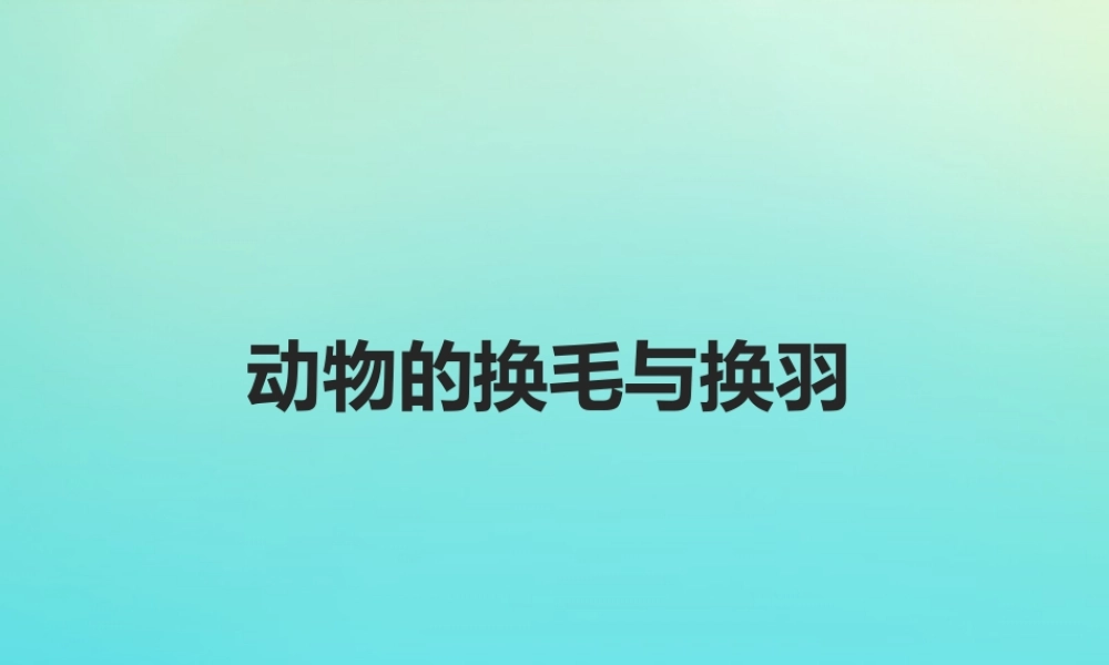 三年级科学下册 第2单元《动植物对环境的适应》8 动物的换毛与换羽课件 冀人版-人教版小学三年级下册自然科学课件