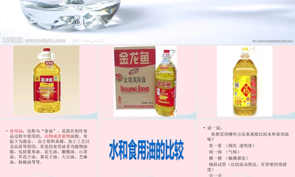 三年级科学上册 4.2《水和食用油的比较》课件（3） 教科版-教科版小学三年级上册自然科学课件