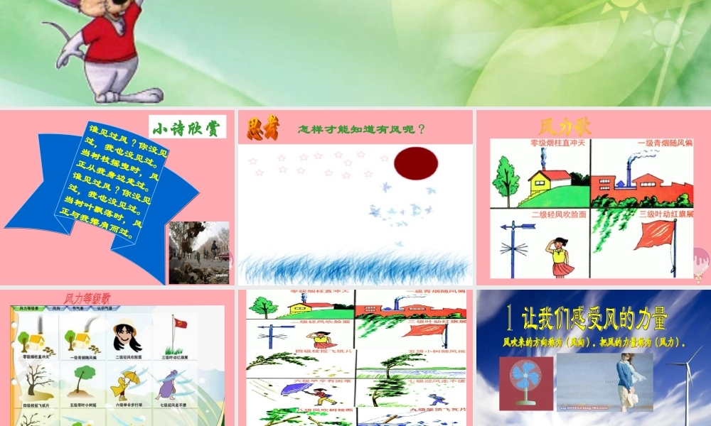 三年级科学上册 第13课 风课件2 冀教版-冀教版小学三年级上册自然科学课件