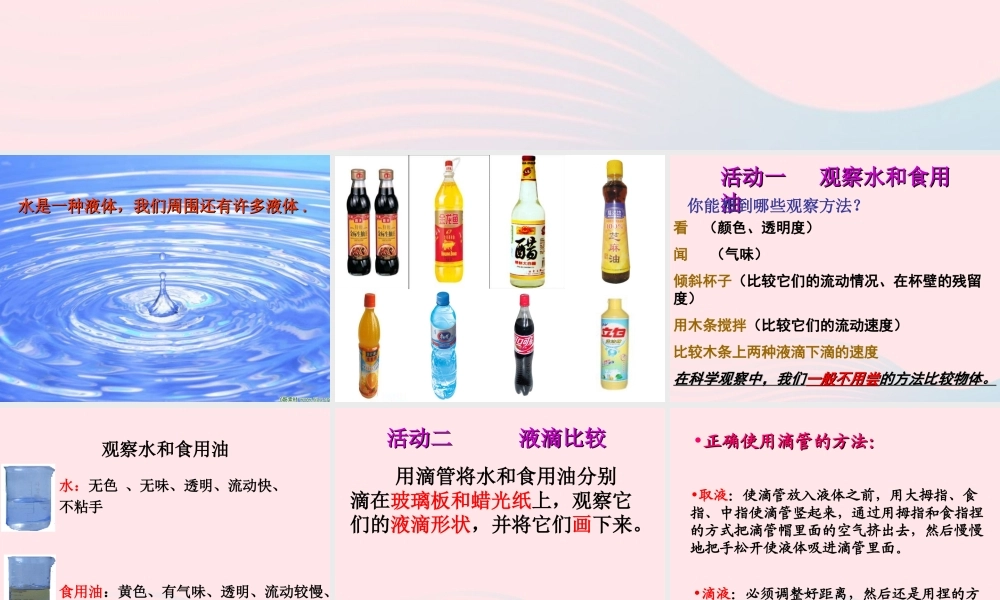 三年级科学上册 4.2《水和食用油的比较》课件（4） 教科版-教科版小学三年级上册自然科学课件