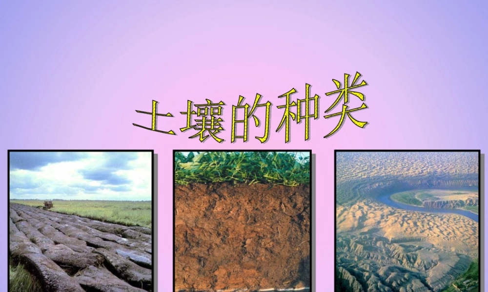 三年级科学上册 第三单元 土壤 3.3  土壤的种类课件 湘科版-人教版小学三年级上册自然科学课件
