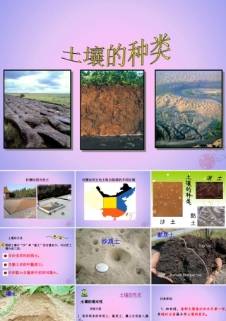 三年级科学上册 第三单元 土壤 3.3  土壤的种类课件 湘科版-人教版小学三年级上册自然科学课件
