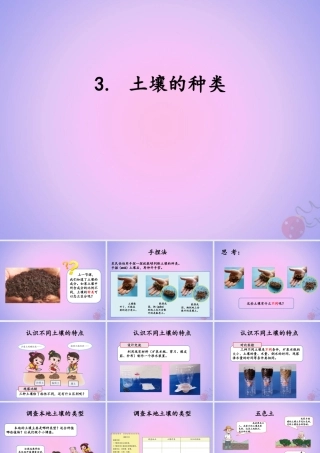三年级科学上册 第三单元 土壤 3.3 土壤的种类课件 湘科版-人教版小学三年级上册自然科学课件