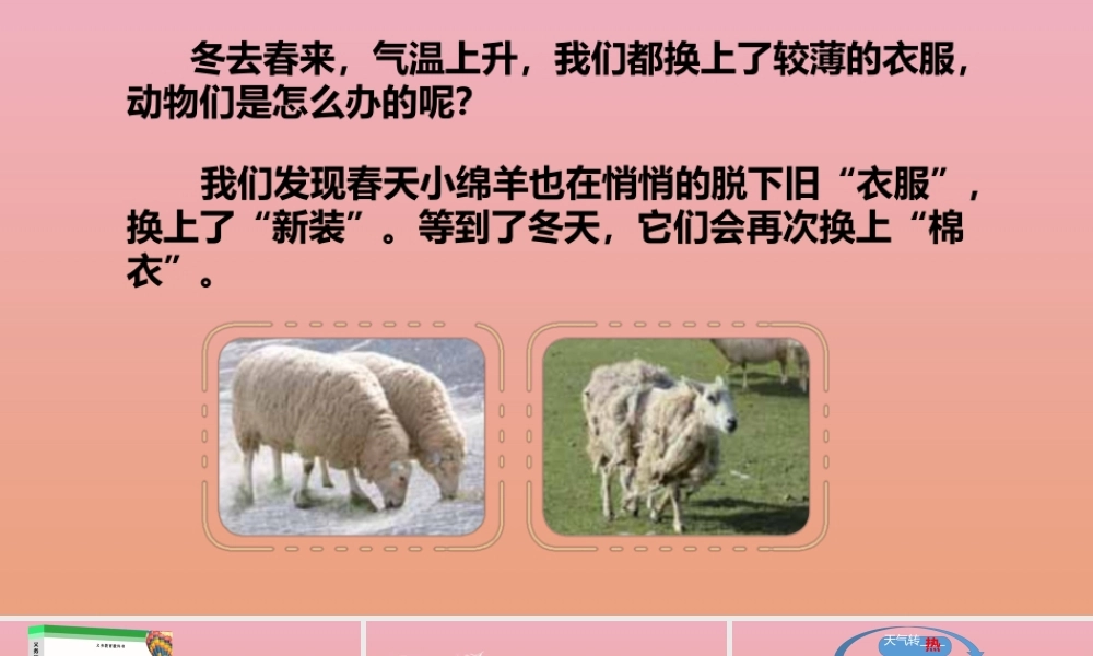 三年级科学下册 第2单元《动植物对环境的适应》8 动物的换毛与换羽课件 冀人版-人教级下册自然科学课件