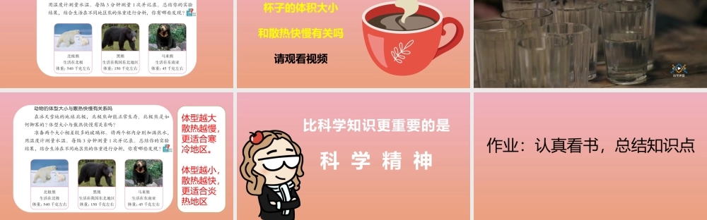 三年级科学下册 第2单元《动植物对环境的适应》8 动物的换毛与换羽课件 冀人版-人教级下册自然科学课件