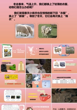 三年级科学下册 第2单元《动植物对环境的适应》8 动物的换毛与换羽课件 冀人版-人教级下册自然科学课件