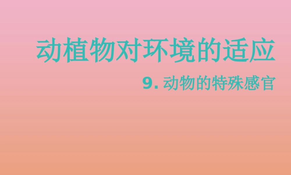 三年级科学下册 第2单元《动植物对环境的适应》9 动物的特殊感官课件 冀人版-人教版小学三年级下册自然科学课件
