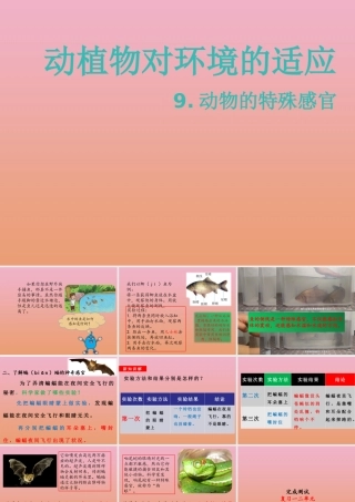 三年级科学下册 第2单元《动植物对环境的适应》9 动物的特殊感官课件 冀人版-人教版小学三年级下册自然科学课件