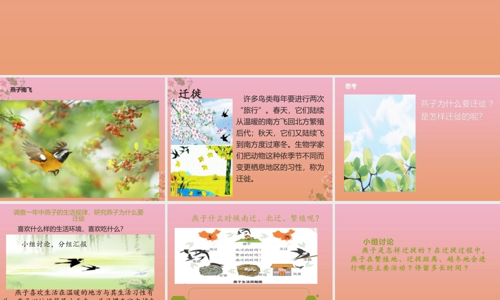 三年级科学下册 第2单元《动植物对环境的适应》第7课 燕子南飞课件 冀人版-人教版小学三年级下册自然科学课件