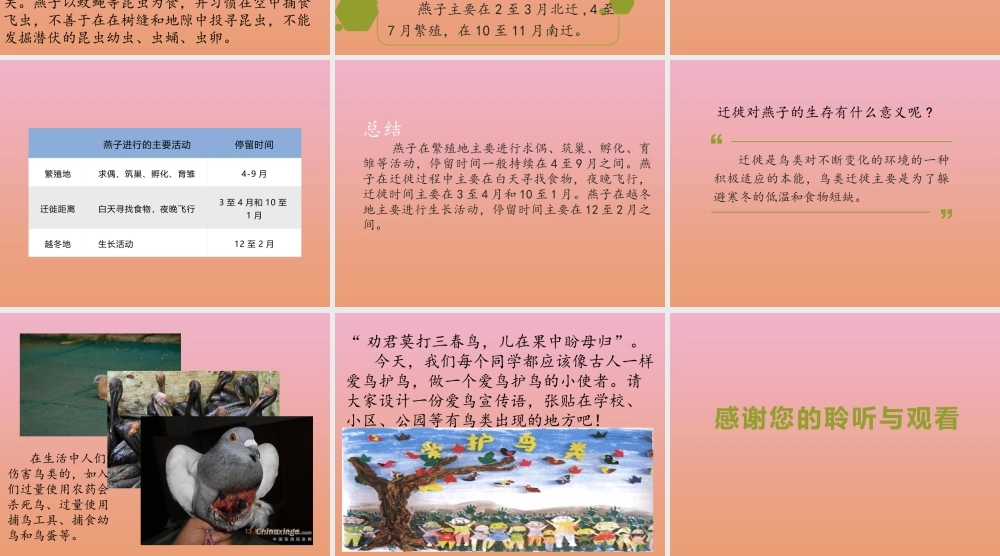 三年级科学下册 第2单元《动植物对环境的适应》第7课 燕子南飞课件 冀人版-人教版小学三年级下册自然科学课件