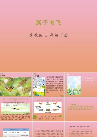 三年级科学下册 第2单元《动植物对环境的适应》第7课 燕子南飞课件 冀人版-人教版小学三年级下册自然科学课件