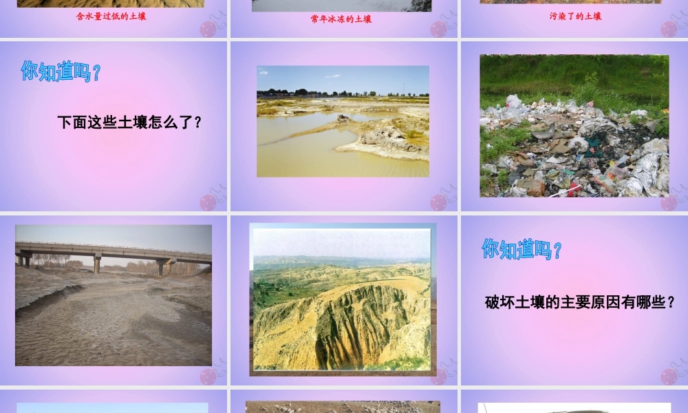 三年级科学上册 第三单元 土壤 3.4 土壤的保护课件 湘科版-人教级上册自然科学课件