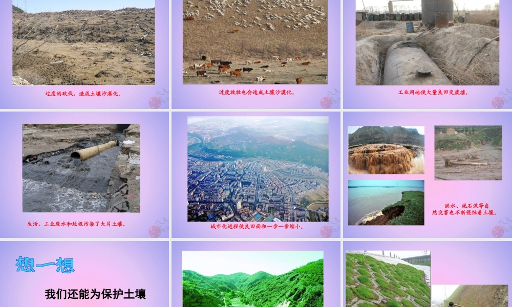 三年级科学上册 第三单元 土壤 3.4 土壤的保护课件 湘科版-人教级上册自然科学课件