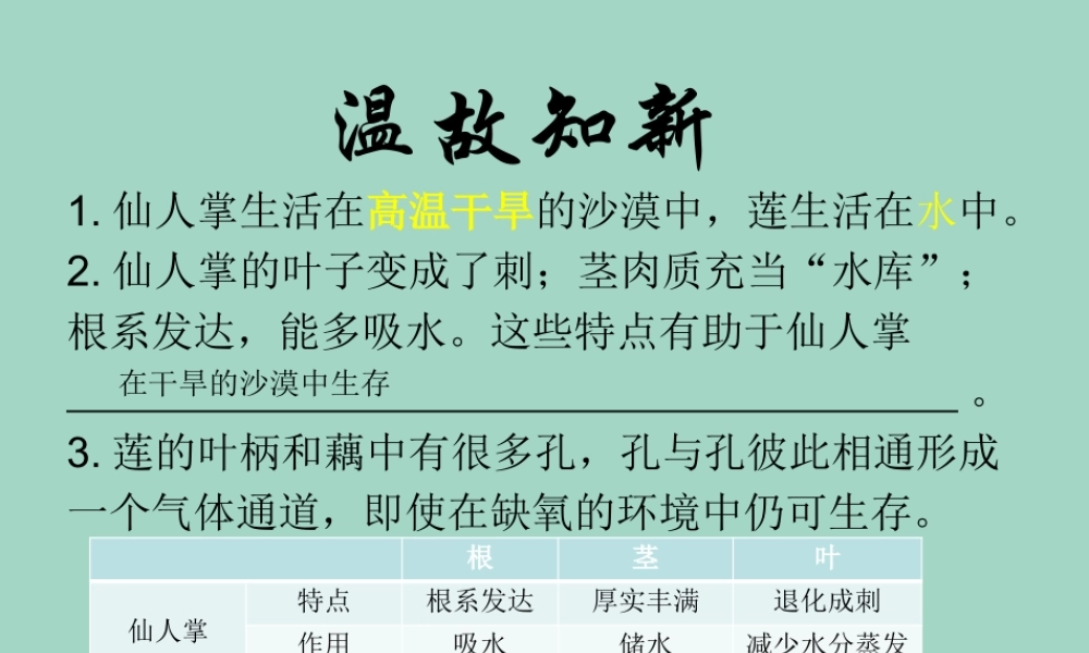 三年级科学下册 第2单元《动植物对环境的适应》第7课《燕子南飞》课件 冀人版-人教版小学三年级下册自然科学课件