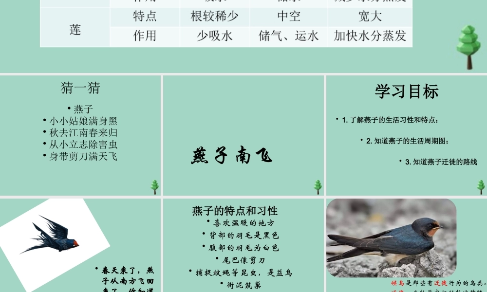 三年级科学下册 第2单元《动植物对环境的适应》第7课《燕子南飞》课件 冀人版-人教版小学三年级下册自然科学课件