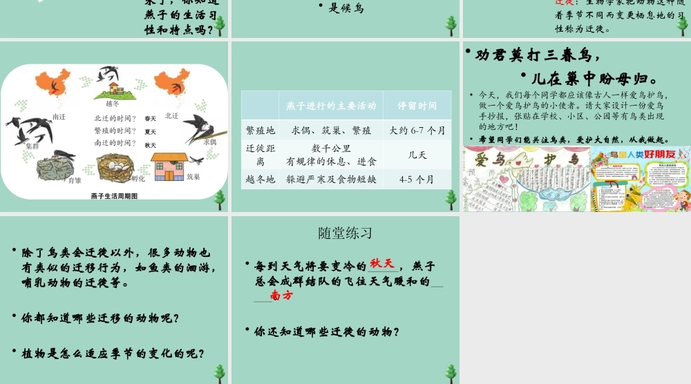 三年级科学下册 第2单元《动植物对环境的适应》第7课《燕子南飞》课件 冀人版-人教版小学三年级下册自然科学课件