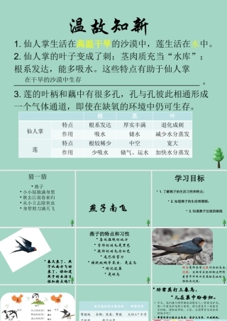 三年级科学下册 第2单元《动植物对环境的适应》第7课《燕子南飞》课件 冀人版-人教版小学三年级下册自然科学课件