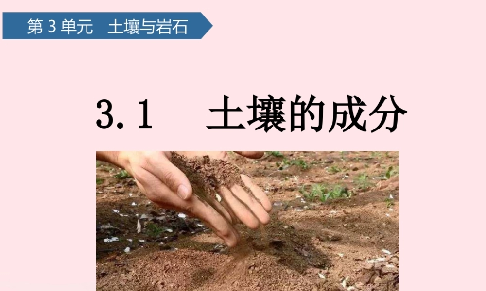 三年级科学上册 第三单元 土壤与岩石 第9课土壤的成分课件 青岛版六三制-青岛版小学三年级上册自然科学课件
