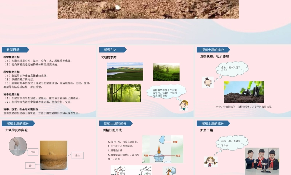 三年级科学上册 第三单元 土壤与岩石 第9课土壤的成分课件 青岛版六三制-青岛版小学三年级上册自然科学课件