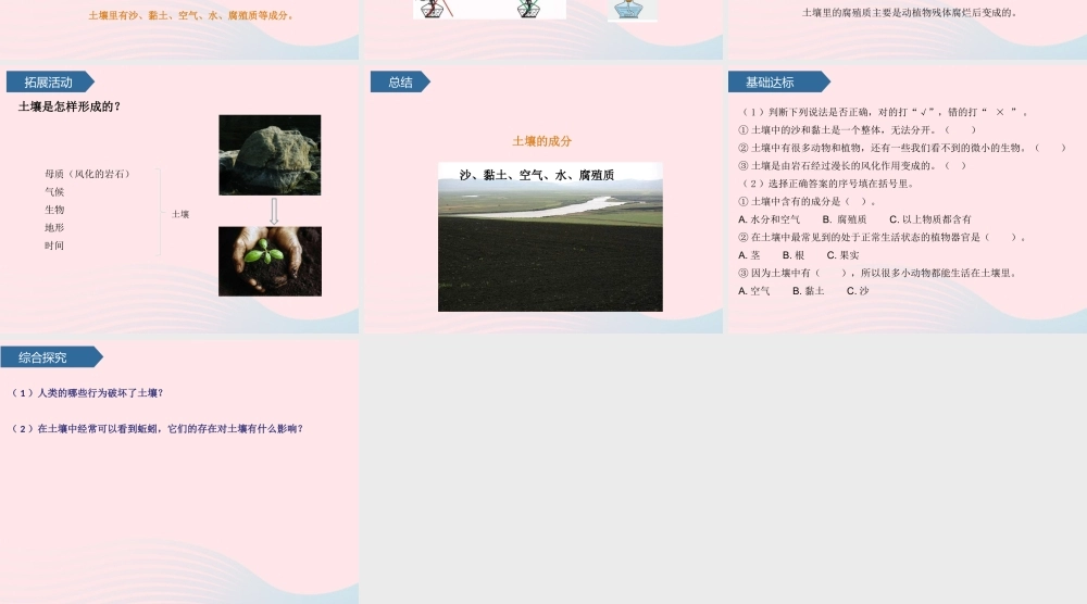 三年级科学上册 第三单元 土壤与岩石 第9课土壤的成分课件 青岛版六三制-青岛版小学三年级上册自然科学课件