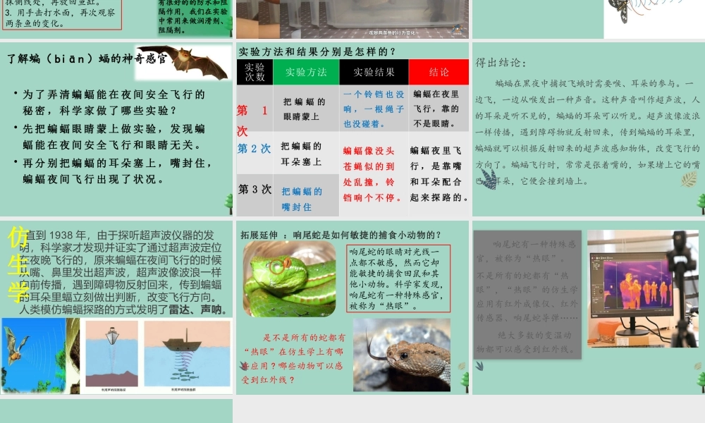 三年级科学下册 第2单元《动植物对环境的适应》第9课《动物的特殊感官》课件 冀人版-人教版小学三年级下册自然科学课件