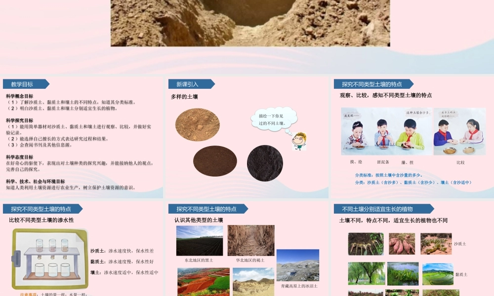 三年级科学上册 第三单元 土壤与岩石 第10课土壤的种类课件 青岛版六三制-青岛版小学三年级上册自然科学课件