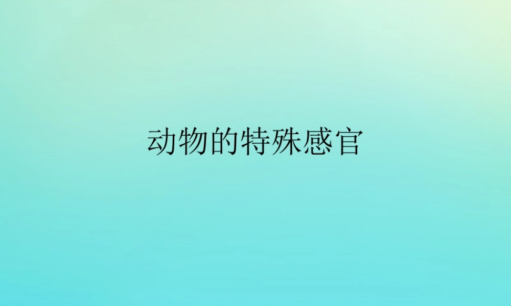 三年级科学下册 第2单元《动植物对环境的适应》第九课 动物的特殊感官课件 冀人版-人教版小学三年级下册自然科学课件