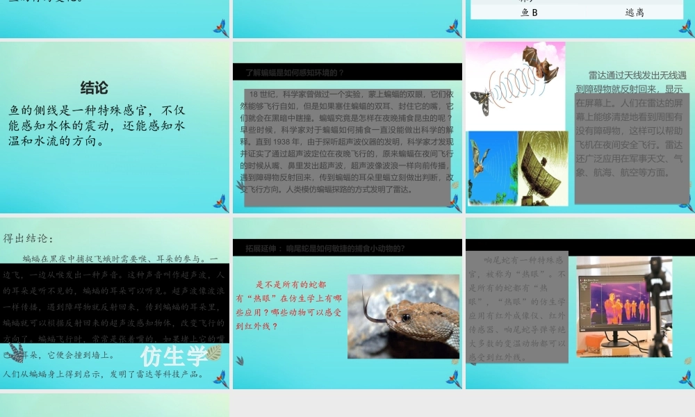 三年级科学下册 第2单元《动植物对环境的适应》第九课 动物的特殊感官课件 冀人版-人教版小学三年级下册自然科学课件