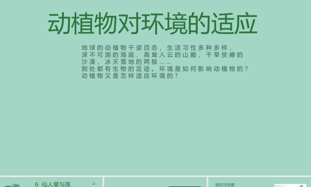 三年级科学下册 第2单元《动植物对环境的适应》第六课 仙人掌与莲课件 冀人版-人教版小学三年级下册自然科学课件