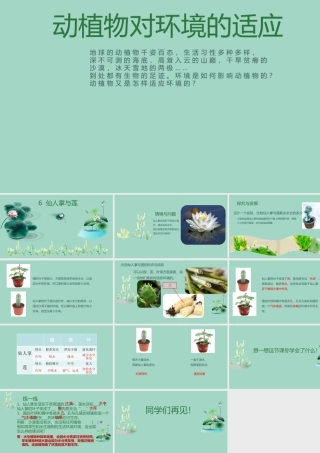 三年级科学下册 第2单元《动植物对环境的适应》第六课 仙人掌与莲课件 冀人版-人教版小学三年级下册自然科学课件