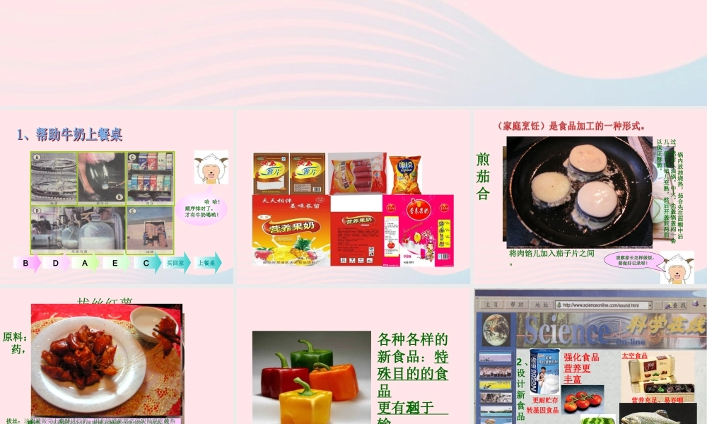 三年级科学上册 第16课《食品的加工》课件（3） 冀教版-冀教版小学三年级上册自然科学课件