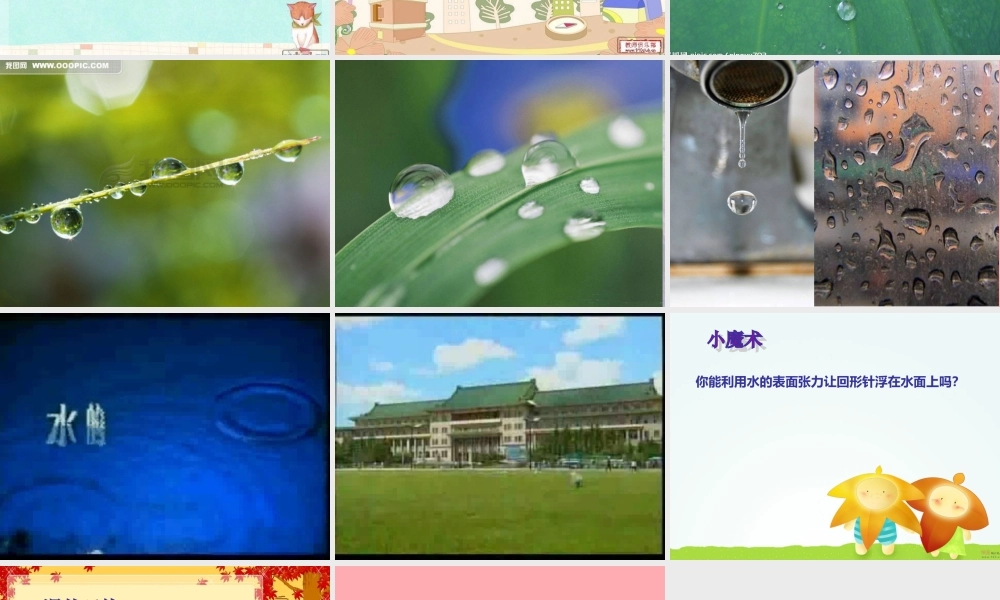 三年级科学上册 4.4 水面的秘密课件1 青岛版五四制-青岛版小学三年级上册自然科学课件