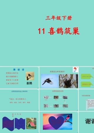 三年级科学下册 第3单元 生物的相互影响 11 喜鹊筑巢课件 冀人版-人教版小学三年级下册自然科学课件