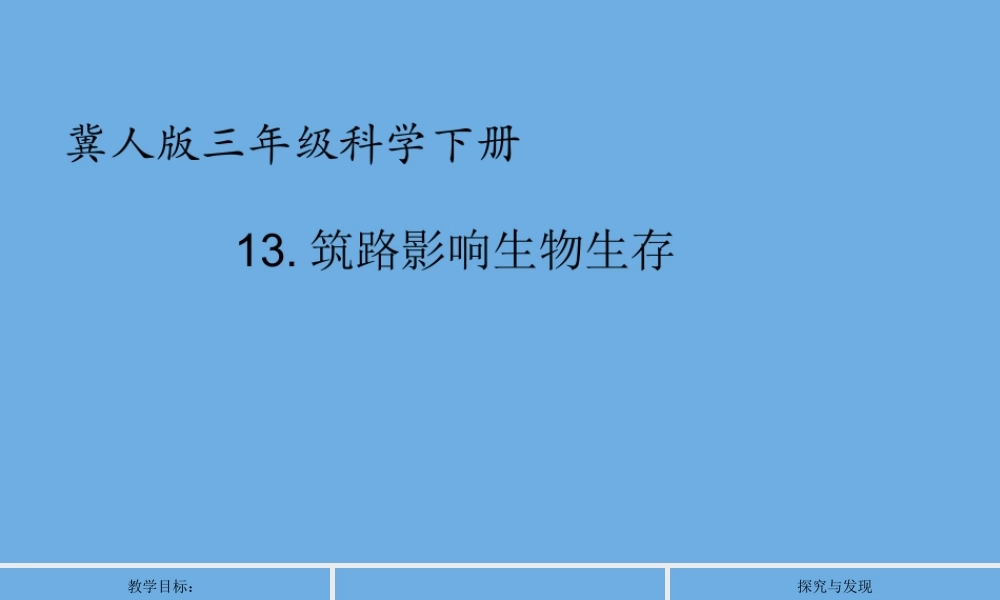 三年级科学下册 第3单元 生物的相互影响 13《筑路影响生物生存》课件 冀人版-人教版小学三年级下册自然科学课件