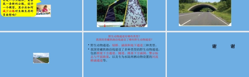 三年级科学下册 第3单元 生物的相互影响 13《筑路影响生物生存》课件 冀人版-人教版小学三年级下册自然科学课件