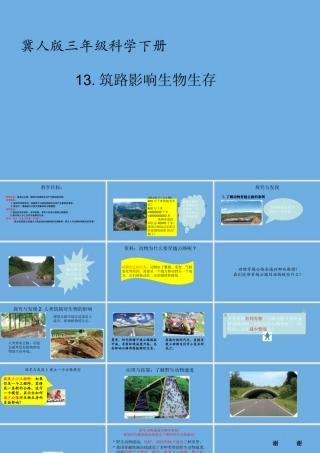 三年级科学下册 第3单元 生物的相互影响 13《筑路影响生物生存》课件 冀人版-人教版小学三年级下册自然科学课件