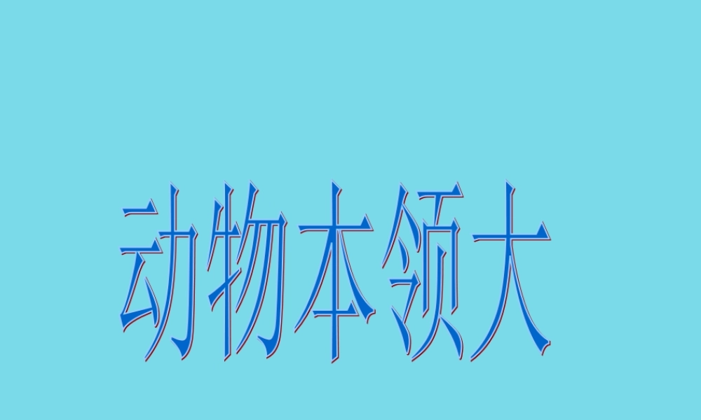 三年级科学上册 第三章 第1课 小动物本领大课件1 新人教版-新人教版小学三年级上册自然科学课件