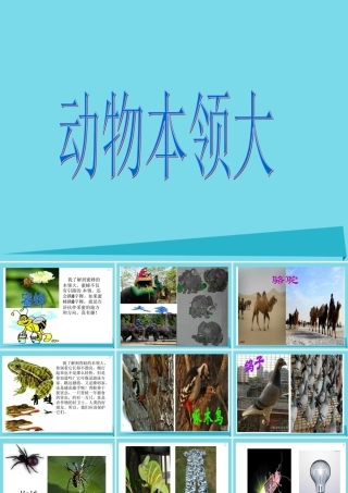 三年级科学上册 第三章 第1课 小动物本领大课件1 新人教版-新人教版小学三年级上册自然科学课件