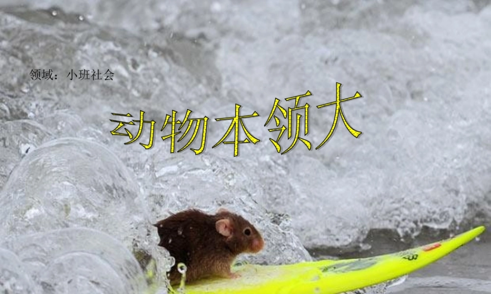 三年级科学上册 第三章 第1课 小动物本领大课件2 新人教版-新人教版小学三年级上册自然科学课件