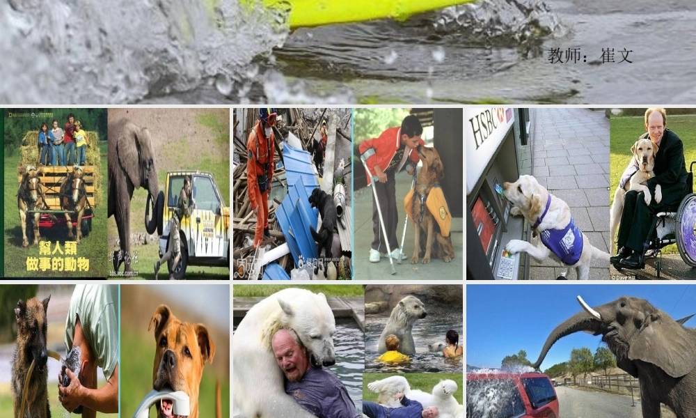 三年级科学上册 第三章 第1课 小动物本领大课件2 新人教版-新人教版小学三年级上册自然科学课件