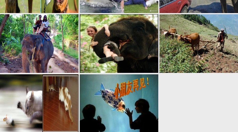 三年级科学上册 第三章 第1课 小动物本领大课件2 新人教版-新人教版小学三年级上册自然科学课件