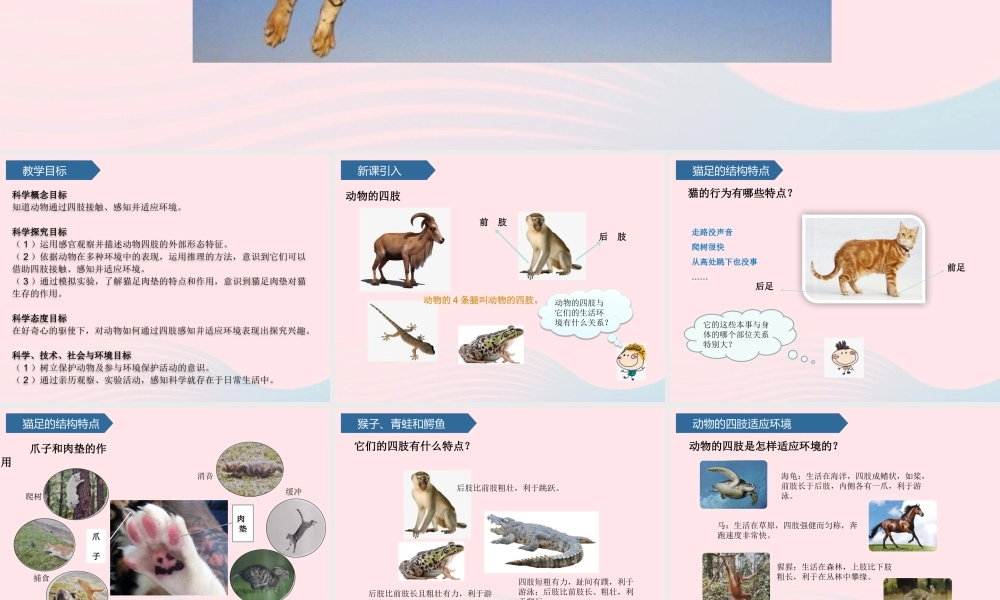 三年级科学上册 第一单元 动物与环境 第1课动物的四肢课件 青岛版六三制-青岛版小学三年级上册自然科学课件