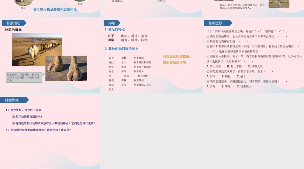 三年级科学上册 第一单元 动物与环境 第1课动物的四肢课件 青岛版六三制-青岛版小学三年级上册自然科学课件