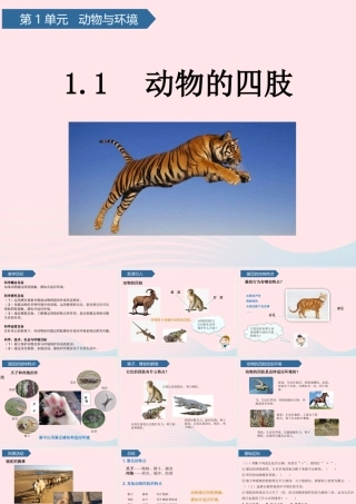 三年级科学上册 第一单元 动物与环境 第1课动物的四肢课件 青岛版六三制-青岛版小学三年级上册自然科学课件